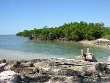 Tarpon Belly Key exploring ruins
